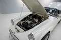 Daimler SP250 '64 CH4393 Blanco - thumbnail 25