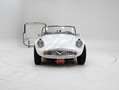 Daimler SP250 '64 CH4393 Blanc - thumbnail 5