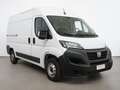 Fiat Ducato Furgone Lastrato 35Q MH2 MJT *PROMO PARISI GROUP* Bianco - thumbnail 2