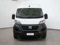 Fiat Ducato Furgone Lastrato 35Q MH2 MJT *PROMO PARISI GROUP* Bianco - thumbnail 4