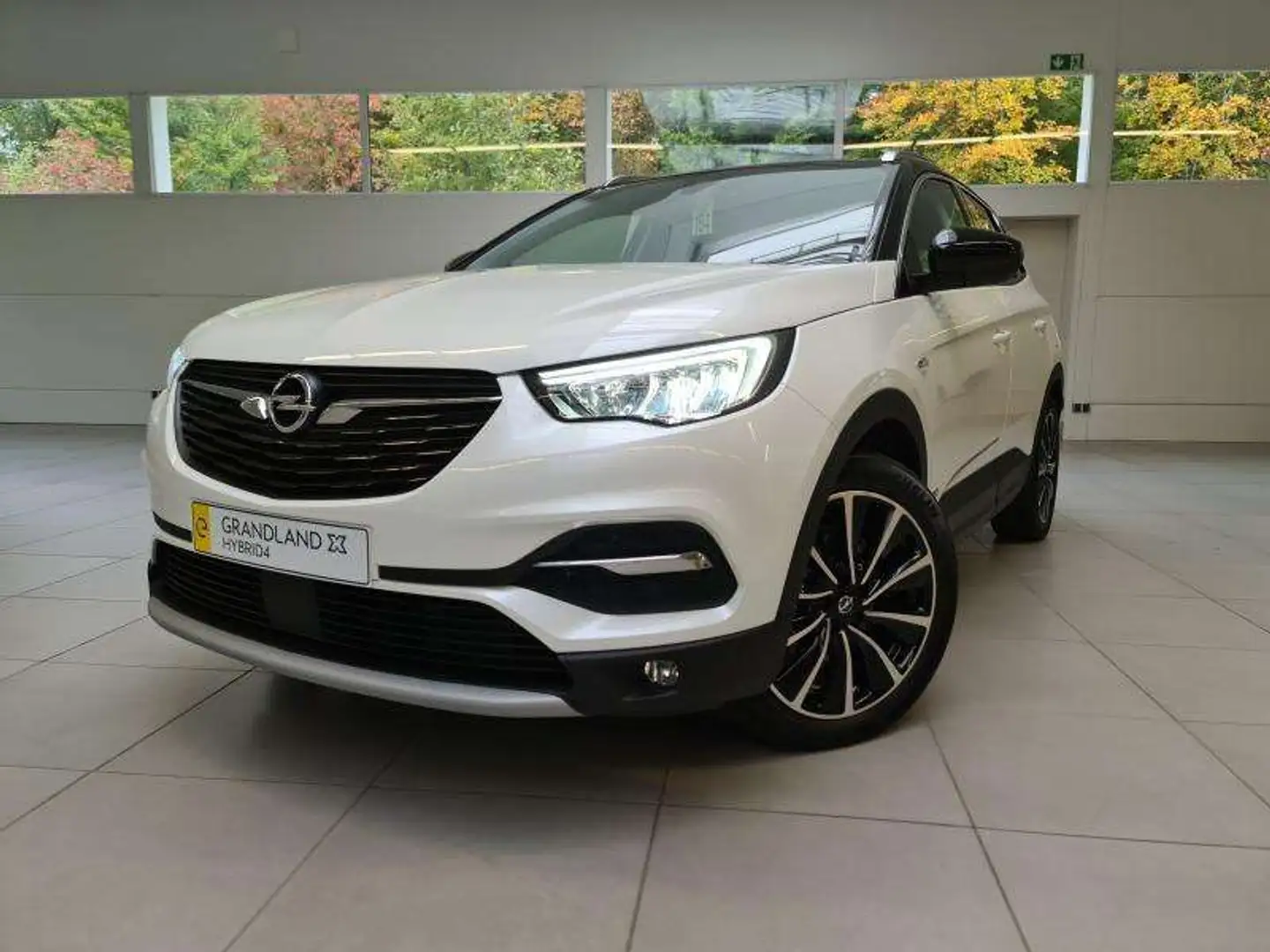 Opel Grandland X X Innovation Wit - 1