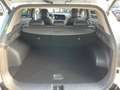 Kia Sportage 1,6 TGDI 48V Gold DCT Weiß - thumbnail 12