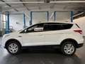 Ford Kuga Kuga 1,5Trend*PDC+PARKHILFE*TEMPOMAT*KLIMA*1HAND Weiß - thumbnail 2