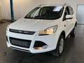 Ford Kuga 1,5Trend*PDC+PARKHILFE*TEMPOMAT*KLIMA*1HAND Blanco - thumbnail 1