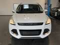 Ford Kuga Kuga 1,5Trend*PDC+PARKHILFE*TEMPOMAT*KLIMA*1HAND Weiß - thumbnail 9