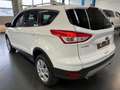 Ford Kuga Kuga 1,5Trend*PDC+PARKHILFE*TEMPOMAT*KLIMA*1HAND Weiß - thumbnail 3