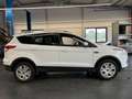 Ford Kuga Kuga 1,5Trend*PDC+PARKHILFE*TEMPOMAT*KLIMA*1HAND Weiß - thumbnail 7