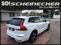 Volvo XC60 T6 AWD Recharge PHEV R-Design Weiß - thumbnail 2