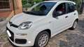 Fiat Panda Panda III 2012 0.9 t.air turbo Lounge 85cv E6 Bianco - thumbnail 6