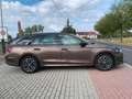 Skoda Octavia Combi Ambition 1.5 Braun - thumbnail 5