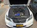Lexus IS F 5.0 V8 Weiß - thumbnail 10