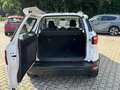 Ford EcoSport Trend"SZH"LenkradHZ"2.Hand"Bluetooth Bianco - thumbnail 9