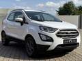 Ford EcoSport Trend"SZH"LenkradHZ"2.Hand"Bluetooth Bianco - thumbnail 3