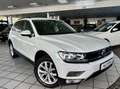 Volkswagen Tiguan 2.0TDI DSG Comfortline 4M Offroad LED Blanc - thumbnail 1
