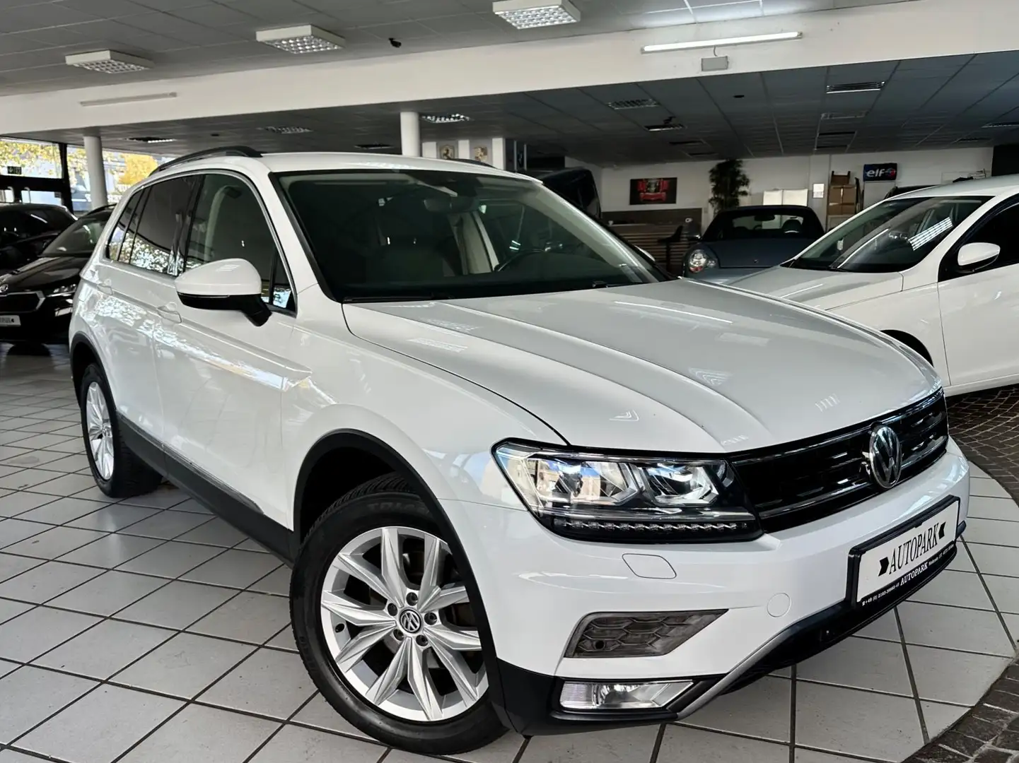 Volkswagen Tiguan 2.0TDI DSG Comfortline 4M Offroad LED Blanc - 1