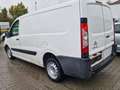 Citroen Jumpy HDi 125/1.Ha/ 29 Proli L2H1 Kasten/Klima/PDC/Gepfl Bianco - thumbnail 6