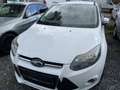 Ford Focus Weiß - thumbnail 2