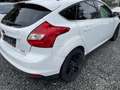 Ford Focus Weiß - thumbnail 4