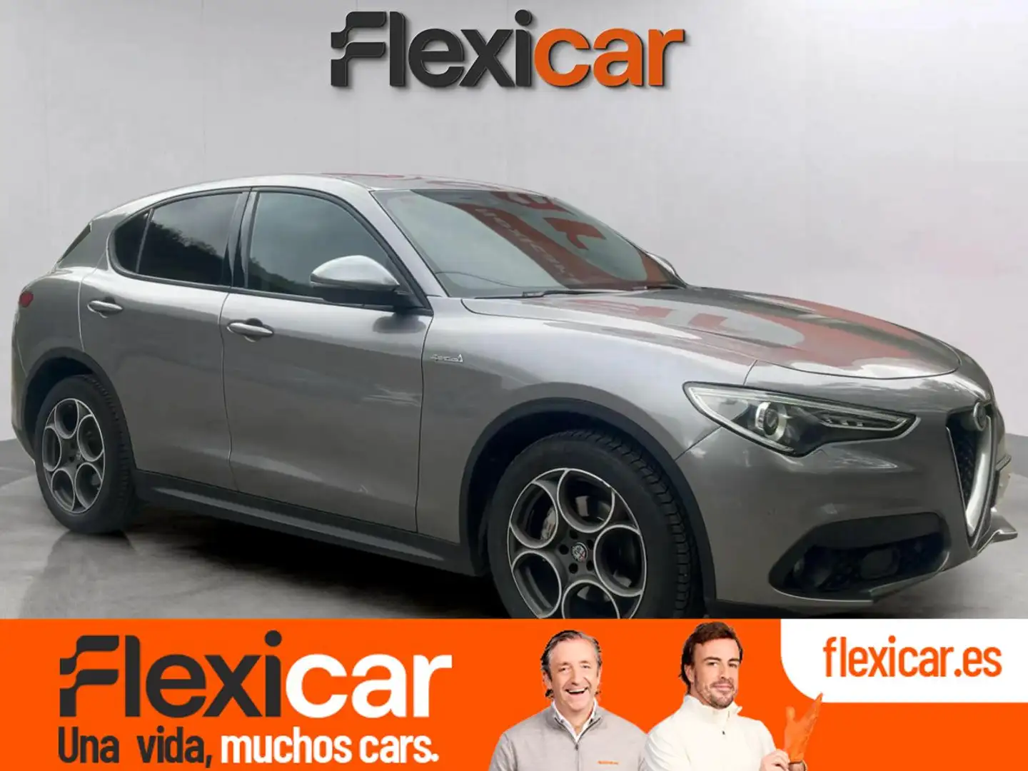 Alfa Romeo Stelvio 2.2 Diésel 110kW (150CV)  RWD Gris - 1
