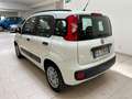 Fiat Panda 1.2 EasyPower Lounge Bianco - thumbnail 6