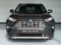 Toyota RAV 4 2.5l 220H Luxury Grau - thumbnail 11