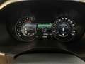 Ford Galaxy 2,0 EcoBlue SCR Titanium Aut. Grau - thumbnail 16