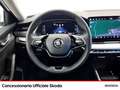 Skoda Octavia wagon 2.0 tdi executive 150cv dsg Bianco - thumbnail 10