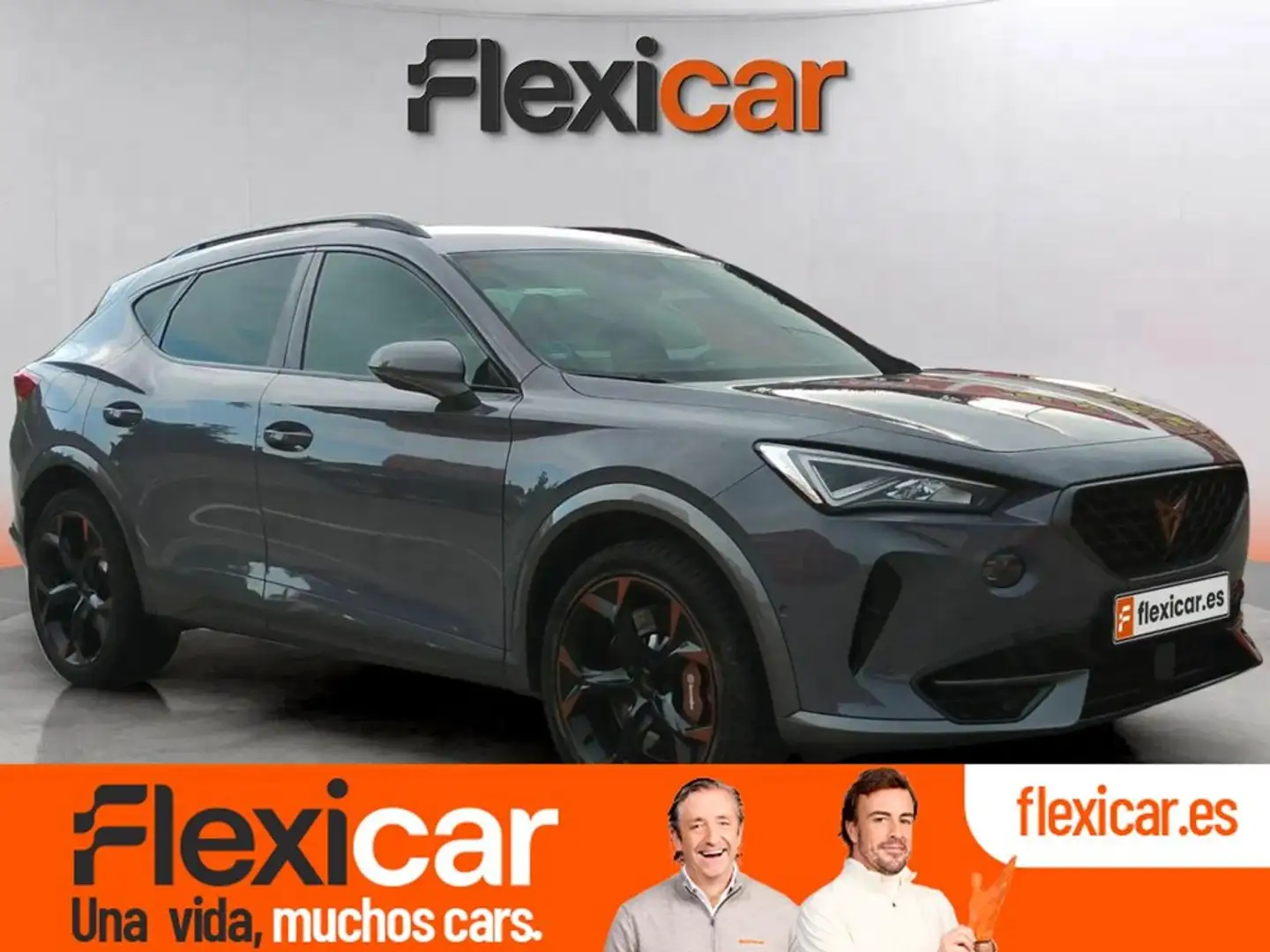 CUPRA Formentor 2.0 TSI 228kW (310 CV) VZ 4Drive DSG Gris - 1
