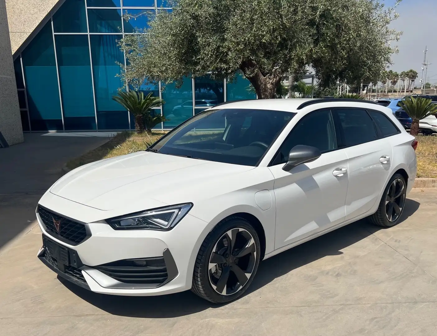 CUPRA Leon phev 204cv DSG possibilità noleggio no scoring Bianco - 1