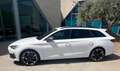 CUPRA Leon phev 204cv DSG possibilità noleggio no scoring Bianco - thumbnail 2