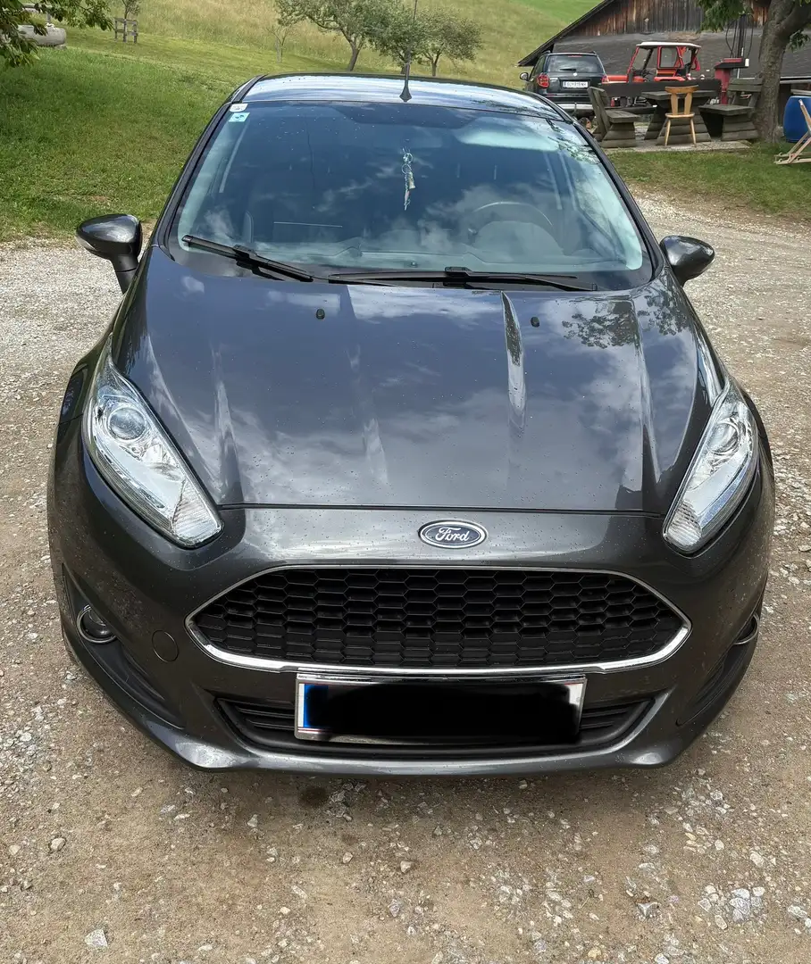 Ford Fiesta Fiesta Trend 1,25 Trend Grau - 1