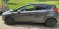 Ford Fiesta Fiesta Trend 1,25 Trend Grau - thumbnail 3