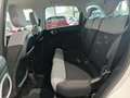 Fiat 500L 1.4 Lounge - thumbnail 16