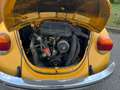Volkswagen Maggiolino Giallo - thumbnail 9