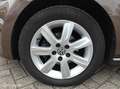 Volkswagen Polo 5-deurs 1.2TSi 90pk AUTOMAAT DSG-7 Highline Brun - thumbnail 23