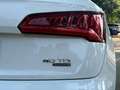 Audi Q5 40 TDI S line quattro-ultra S tronic 140kW Blanco - thumbnail 13