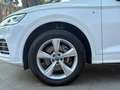 Audi Q5 40 TDI S line quattro-ultra S tronic 140kW Blanco - thumbnail 10