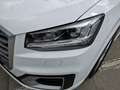 Audi Q2 1,6 TDI Sport Weiß - thumbnail 5