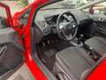 Ford Fiesta Fiesta 5p 1.0 Business 80cv E6 Rosso - thumbnail 7