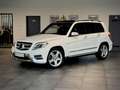 Mercedes-Benz GLK 220 4Matic AMG*Pano*AHK*Bi-Xenon* Weiß - thumbnail 1