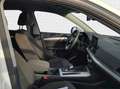 Audi Q5 50 TFSI e quattro S line*Navi*Matrix*Alu*PDC* Weiß - thumbnail 6