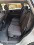 Kia Sorento Sorento 2,2 CRDi ISG AWD Gold Aut. Gold Weiß - thumbnail 11