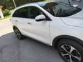 Kia Sorento Sorento 2,2 CRDi ISG AWD Gold Aut. Gold Weiß - thumbnail 8