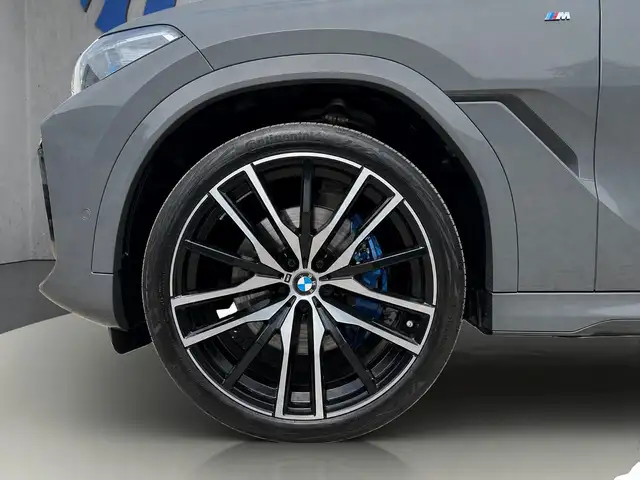 BMW X6 view 10