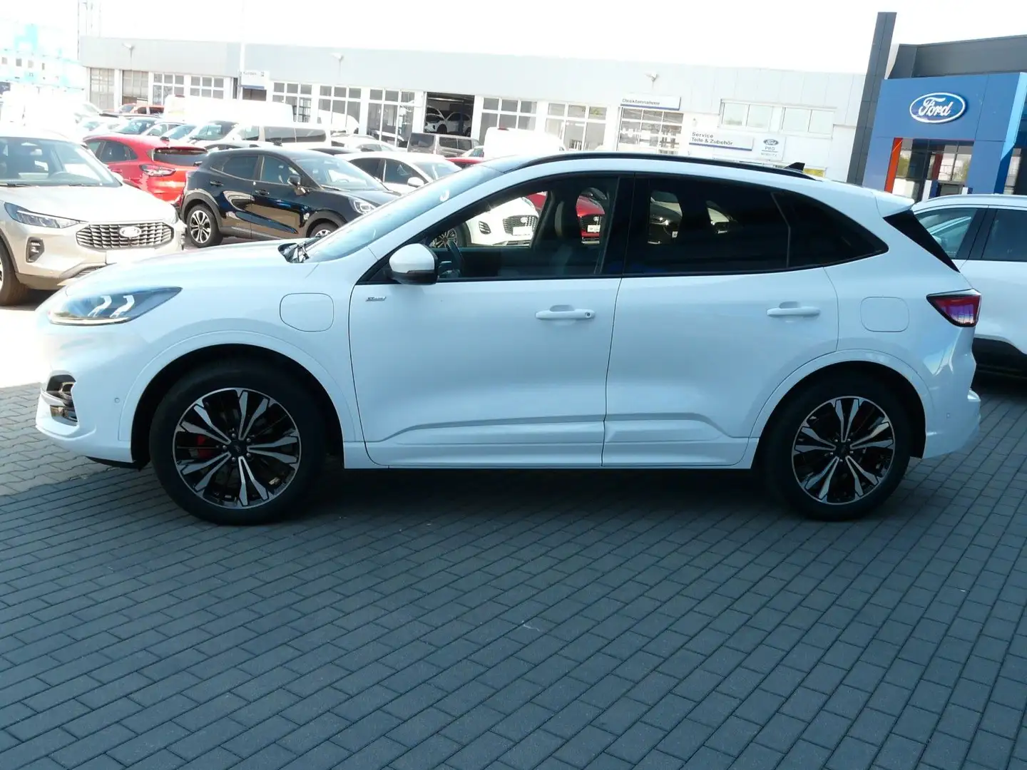 Ford Kuga PHEV ST-Line X *iACC*B&O-Play*AHK el.* Weiß - 2