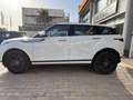 Land Rover Range Rover Evoque 2.0d i4 mhev R-Dynamic HSE awd 150cv auto Bianco - thumbnail 5