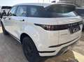 Land Rover Range Rover Evoque 2.0d i4 mhev R-Dynamic HSE awd 150cv auto Bianco - thumbnail 6