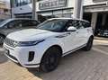 Land Rover Range Rover Evoque 2.0d i4 mhev R-Dynamic HSE awd 150cv auto Bianco - thumbnail 2