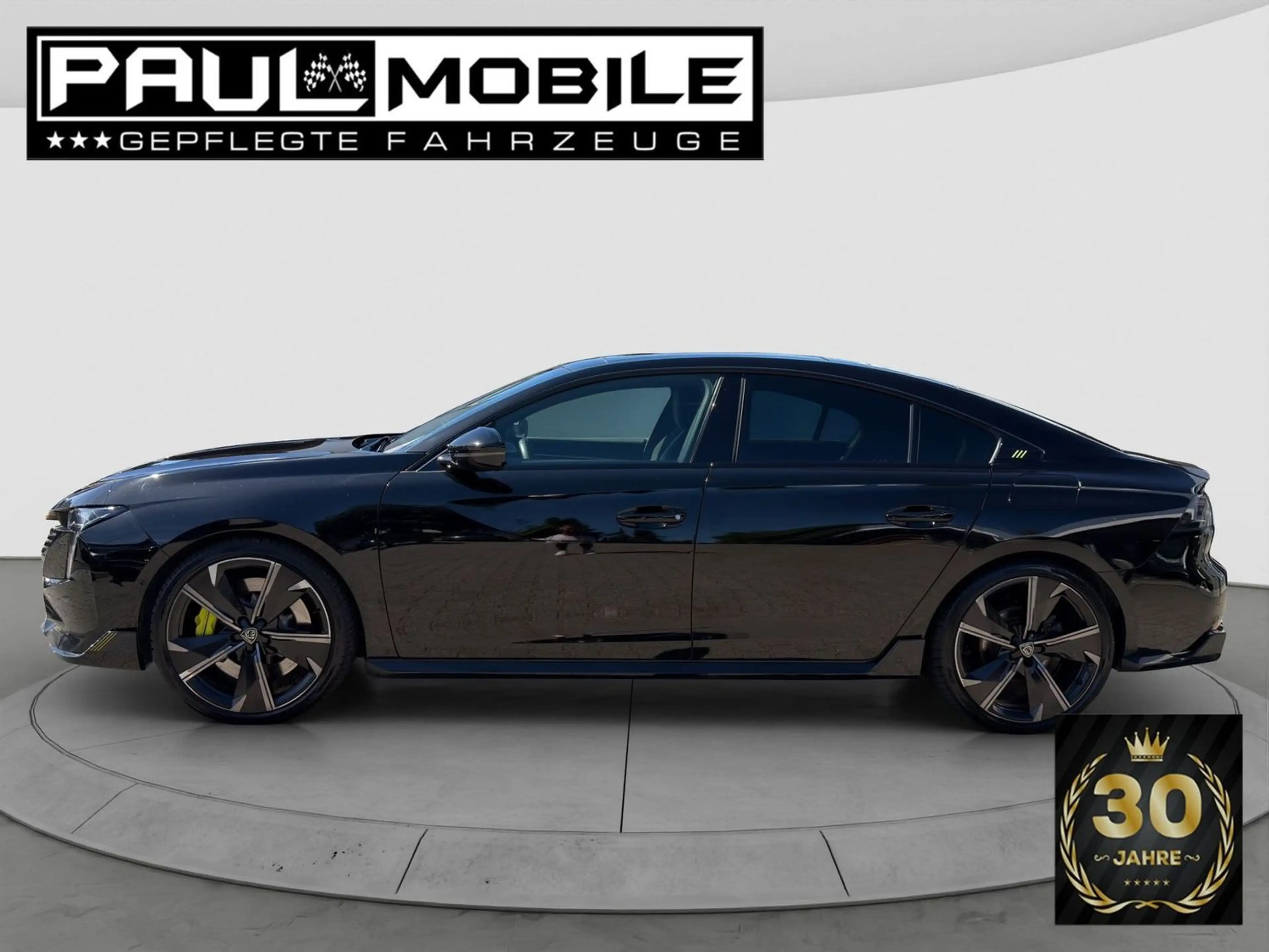 Peugeot 508 Hybrid4 360 PSE Navi ACC LED-Matrix Glasdach — photo 9