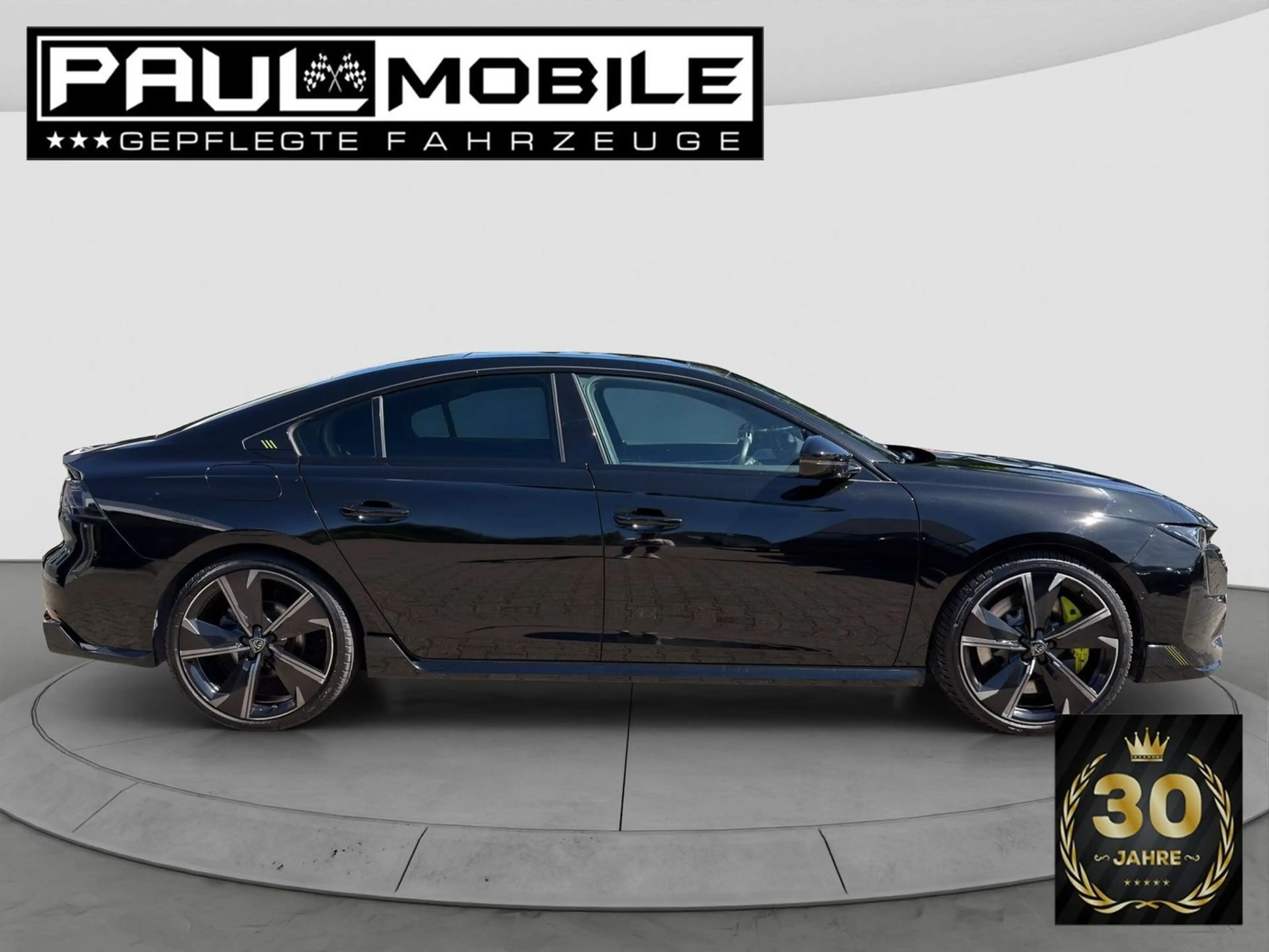 Peugeot 508 Hybrid4 360 PSE Navi ACC LED-Matrix Glasdach — photo 7